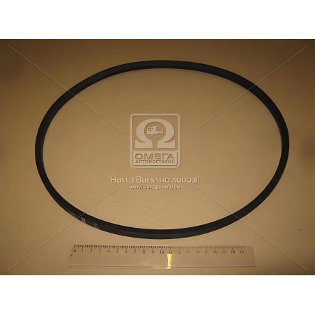 A 975 Ремінь A 975 (вир-во Rubena) фото від Мотор-Агро Харків Україна