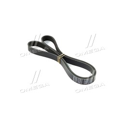 AD06R1200 Ремінь поліклиновий Citroen, Ford, KIA, Nissan, Peugeot (вир-во Blue Print) фото від Мотор-Агро Харків Україна