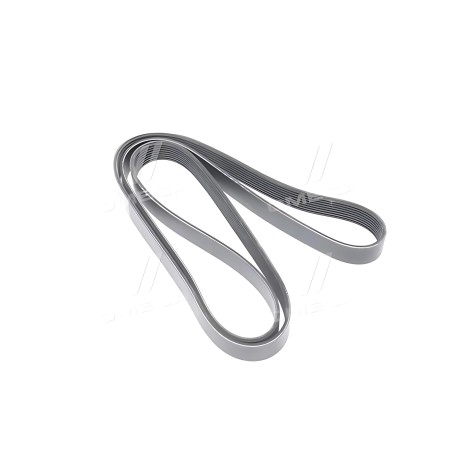 RD 8PK1920EPDM Ремінь поліклін. 8PK1920 TRUCK (RIDER) фото від Мотор-Агро Харків Україна