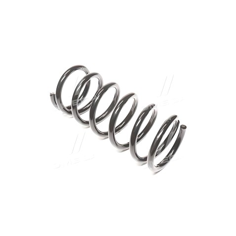 RD.28110017 Пружина підв. Ford Sierra -93 задн. (RIDER) фото від Мотор-Агро Харків Україна