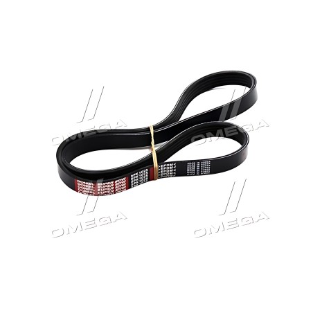 5PK1025 Ремінь поліклін. 5PK1025 (вир-во DONGIL) фото від Мотор-Агро Харків Україна