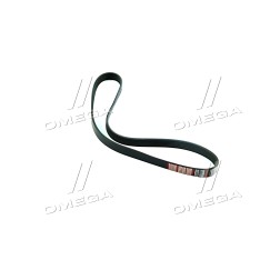 6PK1055 Ремінь поліклін. 6PK1055 (вир-во DONGIL) фото від Мотор-Агро Харків Україна