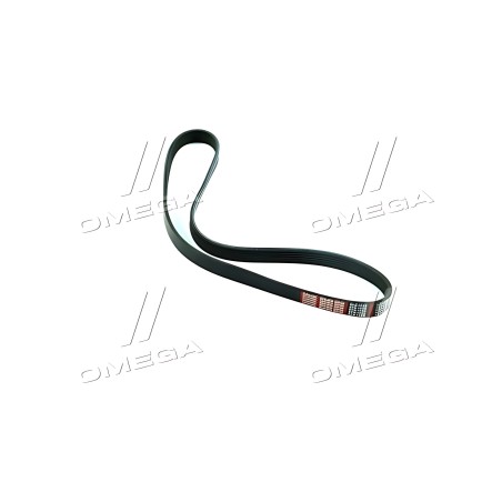 6PK1055 Ремінь поліклін. 6PK1055 (вир-во DONGIL) фото від Мотор-Агро Харків Україна