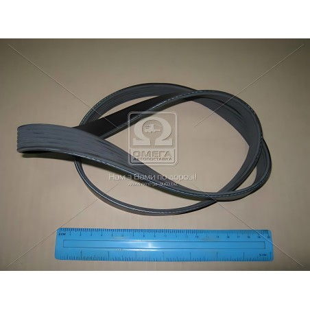 6PK1055 Ремінь поліклін. 6PK1055 (вир-во DONGIL) фото від Мотор-Агро Харків Україна