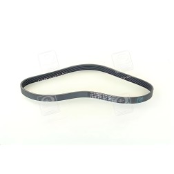 6PK844 Ремінь полікліновий (Вир-во ContiTech) фото від Мотор-Агро Харків Україна