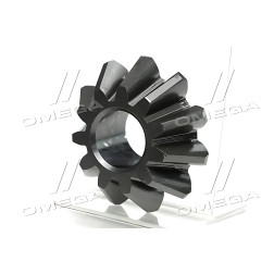 53205-2403055-10 Сателіт диференціала КАМАЗ заднього моста КАМАЗ (RIDER) фото від Мотор-Агро Харків Україна