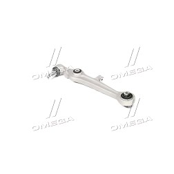 RD.343013673 Важіль підвіски AUDI A4 95-04, A6, A8, VW PASSAT (B5) 95-00 передн. нижн. (конус 20мм) (RIDER) фото від Мотор-Агро