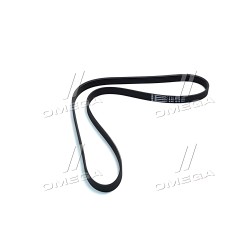 6PK1318 Ремінь полікліновий (Вир-во ContiTech) фото від Мотор-Агро Харків Україна