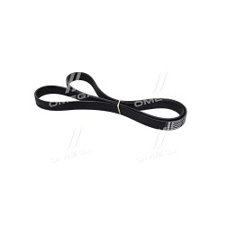 8PK1786 Полікліновий ремінь (Вир-во Contitech) фото від Мотор-Агро Харків Україна