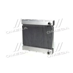 550191 Радіатор охолодження двигуна BMW 5-Series10- (вир-во NRF) фото від Мотор-Агро Харків Україна