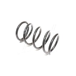 RD.28110093 Пружина підв. TOYOTA RAV 4 01-05 задн. (RIDER) фото від Мотор-Агро Харків Україна