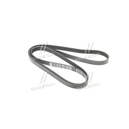 6PK2300 Ремінь поліклін. (вир-во DAYCO) фото від Мотор-Агро Харків Україна