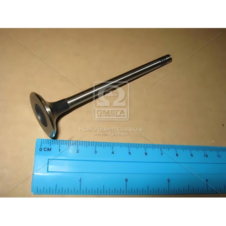 V94117 Клапан випускний VAG 1,4 16V / 1,6 16V 26x6x100.5 (вир-во AE) фото від Мотор-Агро Харків Україна