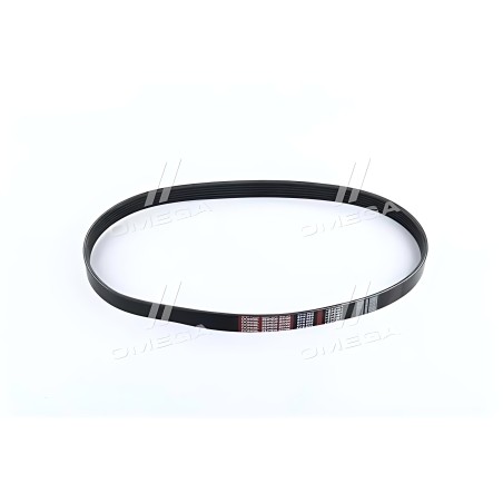 6PK905 Ремінь поліклін. 6PK905 (вир-во DONGIL) фото від Мотор-Агро Харків Україна
