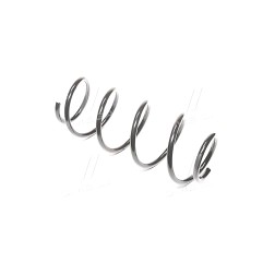 RD.34110054 Пружина підв. SKODA FABIA 99-08 передн. (RIDER) фото від Мотор-Агро Харків Україна