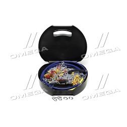 DK481-KN100 Ланцюги протиковзання 12мм. KN100 2шт. ДК фото від Мотор-Агро Харків Україна