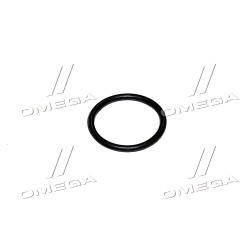 LA5120 Кільце ущільнююче маслозливної пробки OPEL/CHEVROLET 18*22*2 резина (вир-во Payen) фото від Мотор-Агро Харків Україна