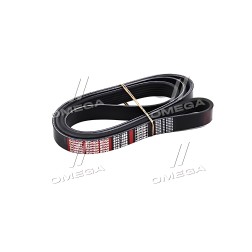 6PK1698 Ремінь поліклін. 6PK1698 (вир-во DONGIL) фото від Мотор-Агро Харків Україна