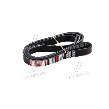 6PK1698 Ремінь поліклін. 6PK1698 (вир-во DONGIL) фото від Мотор-Агро Харків Україна