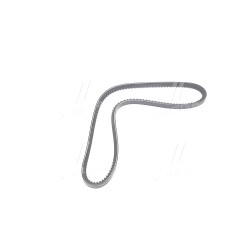 RD 13A1000VS Ремінь клиновий 13A1000GL IVECO EUROSTAR, EUROTECH MP, EUROTECH MT, EUROTRAKKER (RIDER) фото від Мотор-Агро Харків 