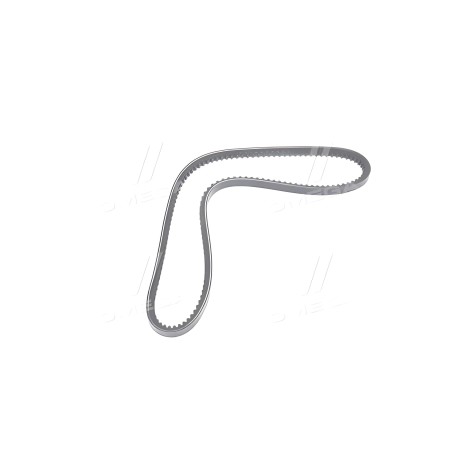 RD 13A1000VS Ремінь клиновий 13A1000GL IVECO EUROSTAR, EUROTECH MP, EUROTECH MT, EUROTRAKKER (RIDER) фото від Мотор-Агро Харків 