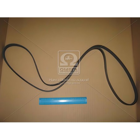 6PK1880 Ремінь поліклін. 6PK1880 (вир-во DONGIL) фото від Мотор-Агро Харків Україна