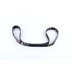 5PK1130 Ремінь поліклін. 5PK1130 (вир-во DONGIL) фото від Мотор-Агро Харків Україна