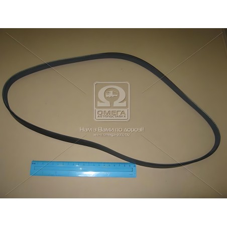 5PK1130 Ремінь поліклін. 5PK1130 (вир-во DONGIL) фото від Мотор-Агро Харків Україна