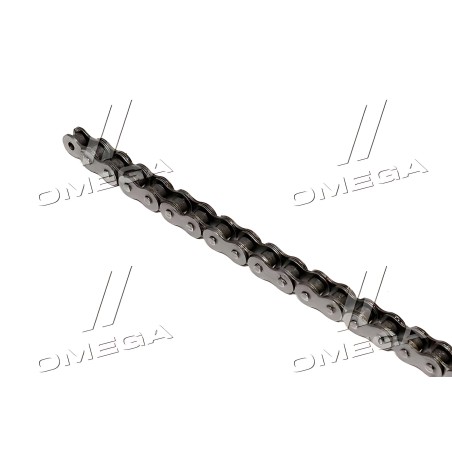 670229 Ланцюг роликовий однорядний Claas 72 ланки, ПР-15,875-2300/10А-1/50-1(670229.2/6702290) (Donghua) фото від Мотор-Агро Хар
