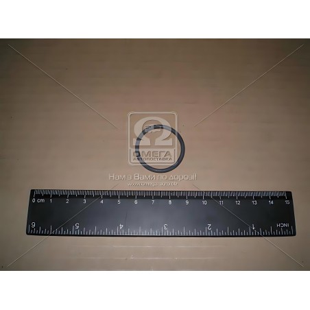 24-3510092Р Кільце ущільн. вакууму ВОЛГА-ГАЗЕЛЬ (вир-во БРТ) фото від Мотор-Агро Харків Україна