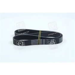 6PK885 Ремінь поліклін. CHEVROLET Aveo седан II (T250, T255) 1.4 (Вир-во DAYCO) фото від Мотор-Агро Харків Україна