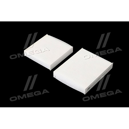 RD.61J6WP9256 Фільтр салону PSA C3 II, C4 CACTUS, 207, 208 06- (2шт.) (RIDER) фото від Мотор-Агро Харків Україна