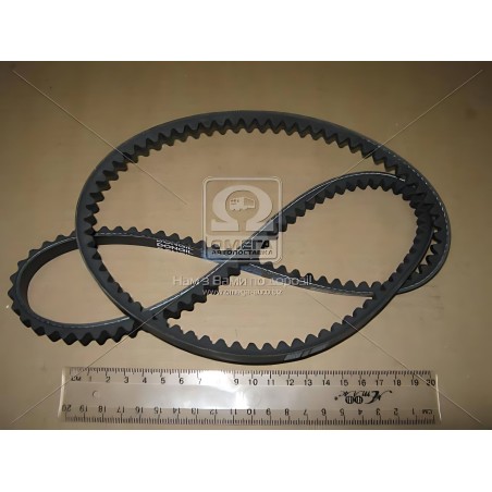 AVX10x1133 Ремінь клиновий AVX10x1133 (вир-во DONGIL) фото від Мотор-Агро Харків Україна