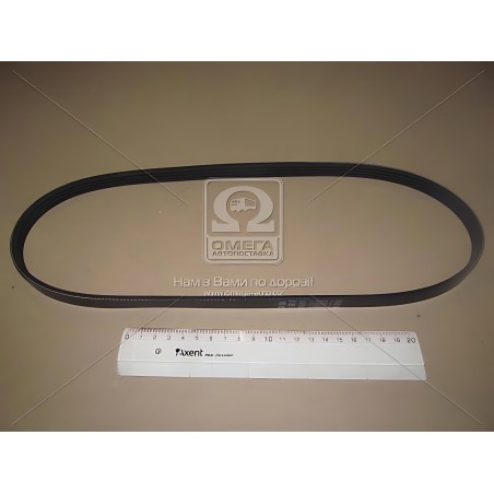 4PK890 Ремінь полікліновий (Вир-во ContiTech) фото від Мотор-Агро Харків Україна