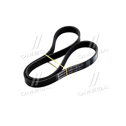 6PK1110 Ремінь полікліновий (Вир-во ContiTech) фото від Мотор-Агро Харків Україна