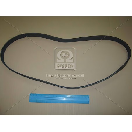 6PK1130 Ремінь поліклін. 6PK1130 (вир-во DONGIL) фото від Мотор-Агро Харків Україна