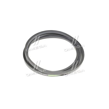 1000723 Ремінь клиновий CNH (060306.0) (OPTIBELT) фото від Мотор-Агро Харків Україна