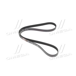 5PK1248 Ремінь поліклиновий (Вир-во Gates) фото від Мотор-Агро Харків Україна