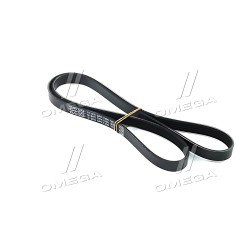 5PK1300 Ремінь поліклін. (вир-во DAYCO) фото від Мотор-Агро Харків Україна