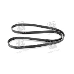 6PK1980 Ремінь поліклін. 6PK1980 (вир-во DONGIL) фото від Мотор-Агро Харків Україна