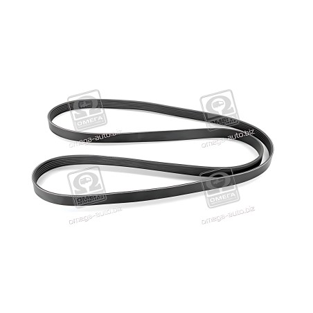 6PK1980 Ремінь поліклін. 6PK1980 (вир-во DONGIL) фото від Мотор-Агро Харків Україна