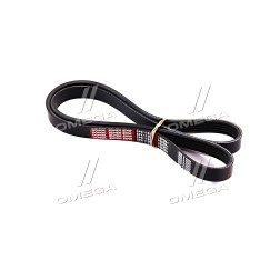 5PK1125 Ремінь поліклін. 5PK1125 (вир-во DONGIL) фото від Мотор-Агро Харків Україна