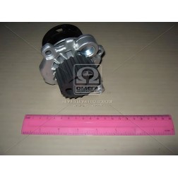 A187 Насос водяний (вир-во Dolz) фото від Мотор-Агро Харків Україна