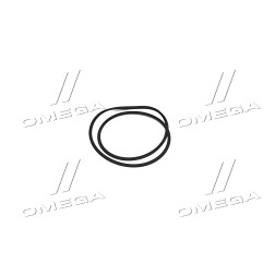 R220469 Манжета диференціалу заднього мосту трактора JD8430/8530 (R220469) (John Deere) фото від Мотор-Агро Харків Україна