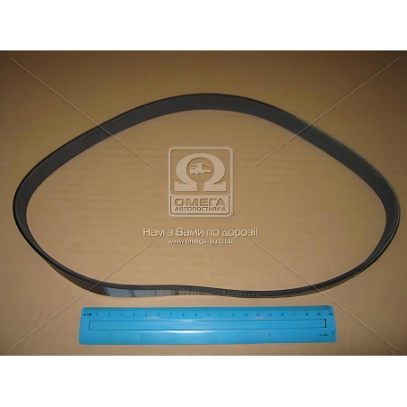 6PK820 Ремінь поліклин. 6PK820 (вир-во DONGIL) фото від Мотор-Агро Харків Україна