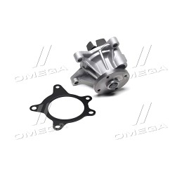 H227 Насос водяний (вир-во Dolz) фото від Мотор-Агро Харків Україна