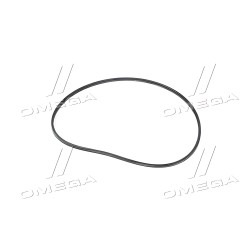 J907177 Кільце ущільнювача гільзи Case T8040/255/310/335 (3907177) 118х122,32х4 мм. (CNH) фото від Мотор-Агро Харків Україна