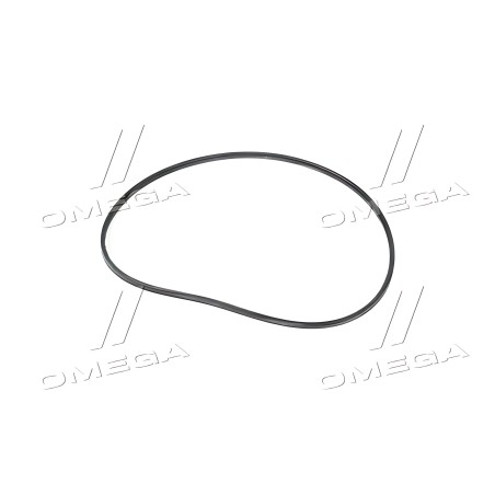 J907177 Кільце ущільнювача гільзи Case T8040/255/310/335 (3907177) 118х122,32х4 мм. (CNH) фото від Мотор-Агро Харків Україна