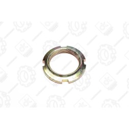 52-2308097 Гайка конічної пари МТЗ ДК фото від Мотор-Агро Харків Україна