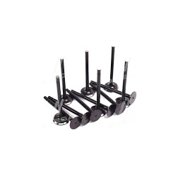 RD-885405072525 Клапана головки блоку циліндрів к/кт (12 шт) Еталон, ТАТА (RIDER) фото від Мотор-Агро Харків Україна